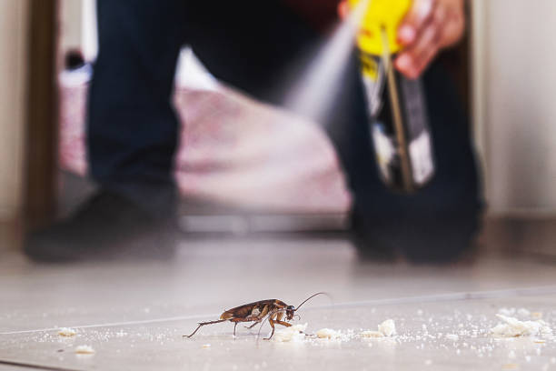 Professional Pest Control in Newport News, VA